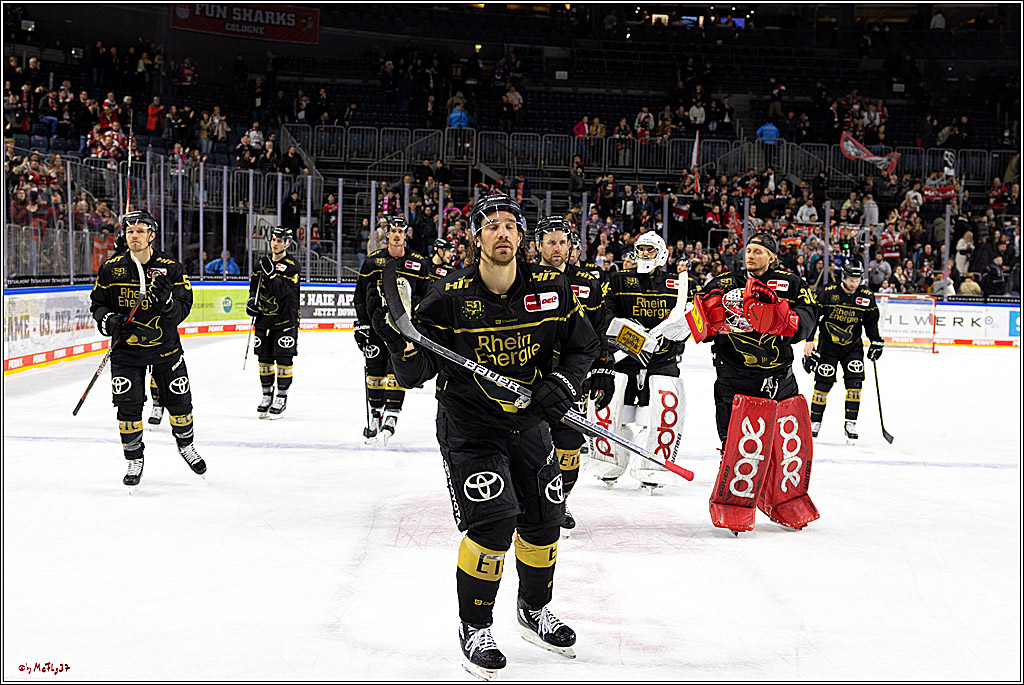 PENNY DEL;  Kölner Haie - ERC Ingolstadt; Köln, 25.11.2022